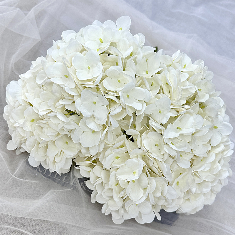 Blanco cremoso