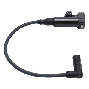 高性能オートバイEFI高電圧点火コイルDelphiシステム用-改造 & 交換部品 - Product Image 3