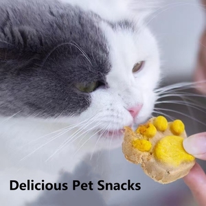 Collation pour chat patte de gâteau pour animaux de compagnie, cheveux graissis joues de chat, pattes de collation pour chat séché à froid, nourriture pour animaux de compagnie, sélection strict, vente en gros - Product Image 3