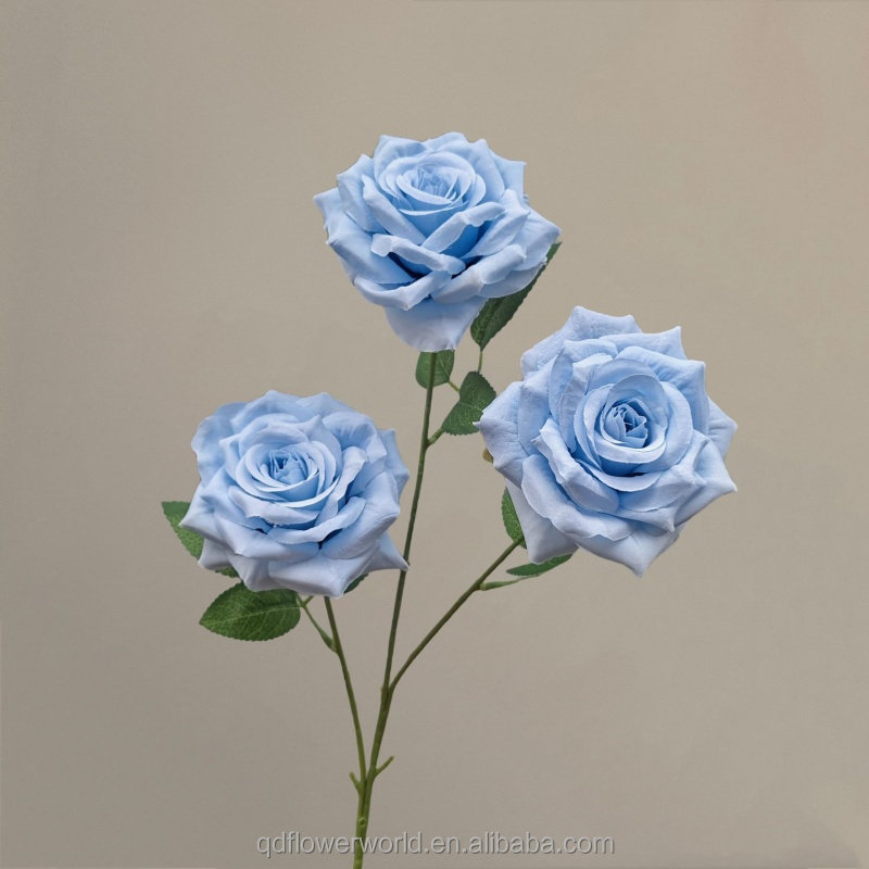 #11 bleu clair
