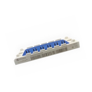 DDB6U134N16RR DDB6U104N16RR DDB6U100N16RR <strong>DDB6U100N16R</strong> DDB6U84N16RR DDB6U144N16R Fuse Module - Product Image 1