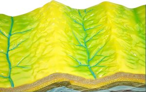 Escuela de recursos didácticos Geología modelo molecular de madera Estructura de placa y modelo de morfología de superficie Pantalla tectónica de placa