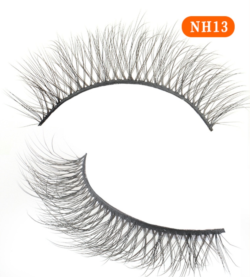 NH13