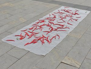 40 Mesh 8 square Meters Drying <strong>Net</strong> for Drying Millet and Sweet Potatoes HDPE Plastic <strong>Net</strong> Is Durable, Lightweight and Fly-proof