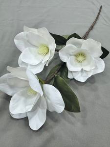 High Standard 3-prong Lily From Quality Factory - Product Image 3