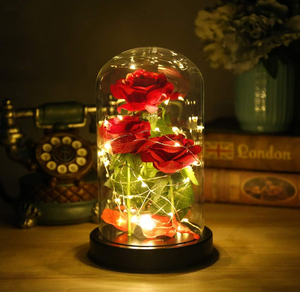 Güzellik ve beast gül ebedi <span class=keywords><strong>led</strong></span> ışık enchanted renkli çiçekler korunmuş sonsuza güller cam kubbe hediye kutusu ile - Product Image 4