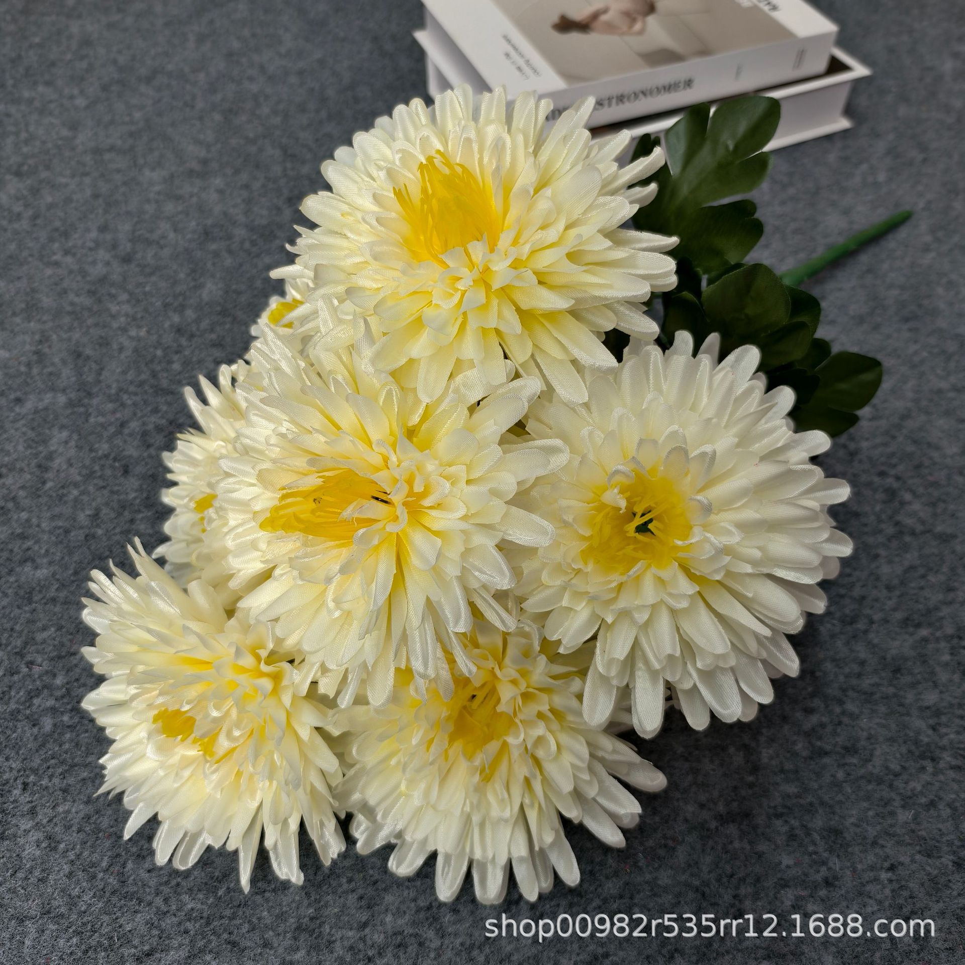 Chrysanthème à aiguilles blanches