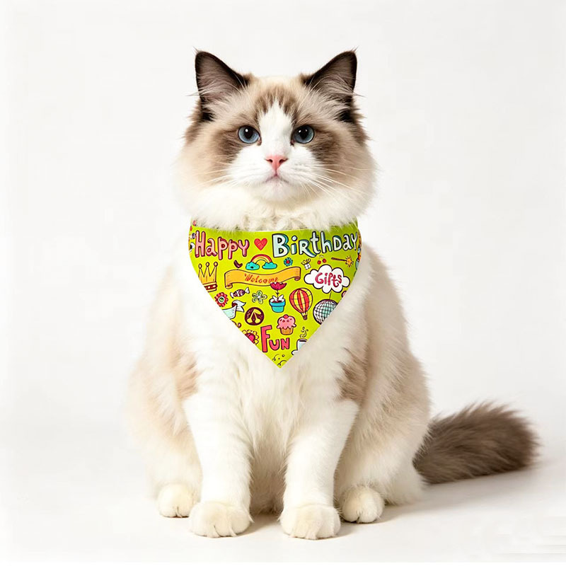 Edición de cumpleaños amarilla
