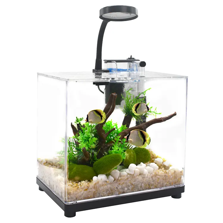 Nuovo design moda acquario set PC mini acquario da scrivania per tartaruga