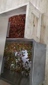 Máquina de clasificación de Color de cereza y café de Colombia, separador de Color rojo y verde, CCD, alta resolución