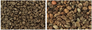 Frijoles máquina de selección de mini ccd cacao máquinas de clasificación café pequeño frijol clasificador de color para la venta - Product Image 4