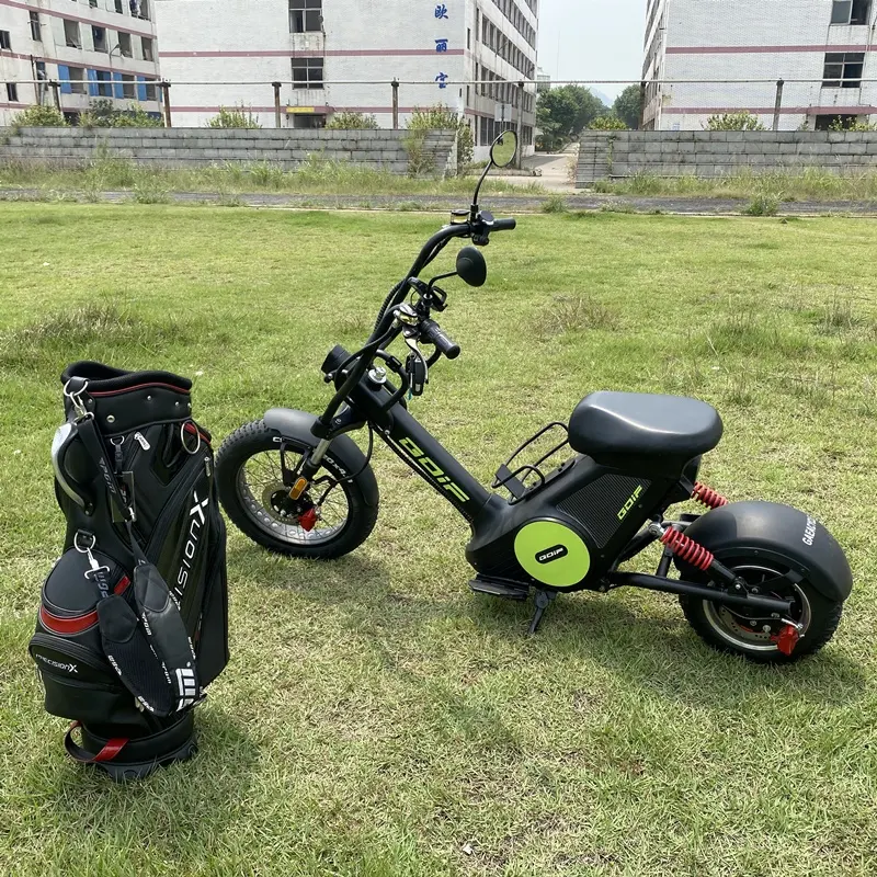 Gaea yüksek hız 2000w 2 tekerlek Citycoco yağ lastik elektrikli Golf bisiklet sepeti Scooter yetişkin çanta tutucu ile