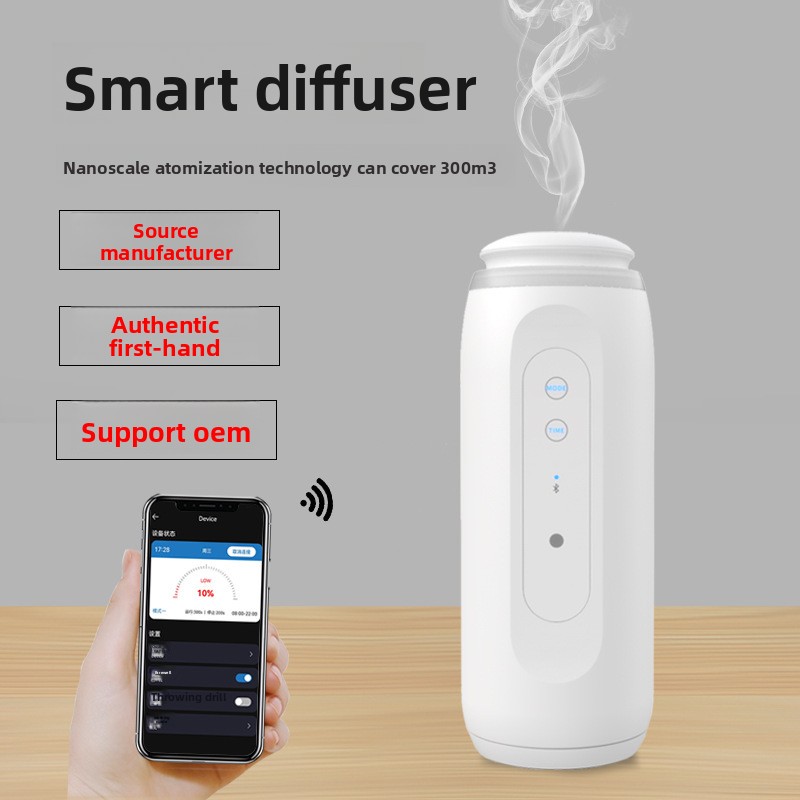 White plug-in model european standard