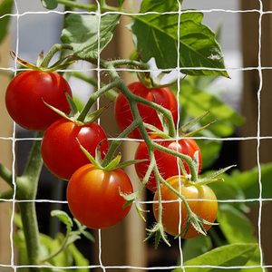Сверхпрочная сетка для поддержки растений для скалолазания 15x15 см Сетка для огуречной сетки