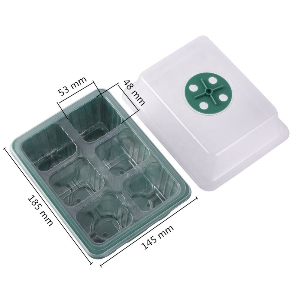 Vert - 6 cellules