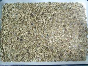 <strong>Color</strong> Sorter for Robusta Coffee <strong>Bean</strong> <strong>Sorting</strong> <strong>Machine</strong> <strong>Cocoa</strong> <strong>Bean</strong> Processing <strong>Machine</strong> - Product Image 5