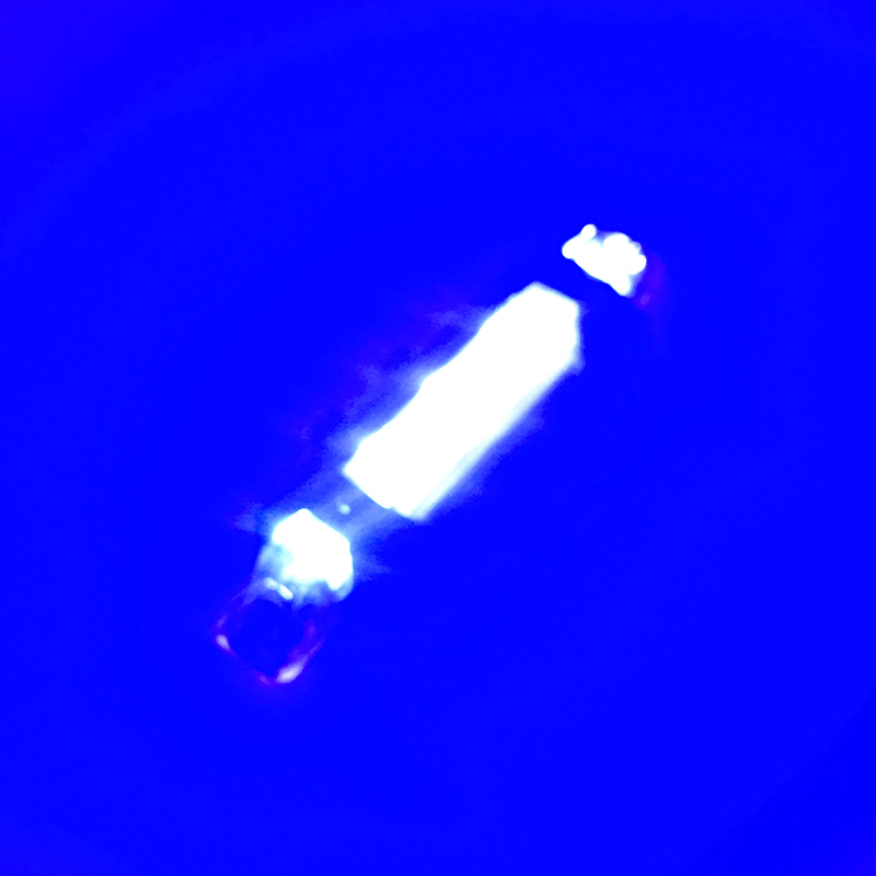 Bleu