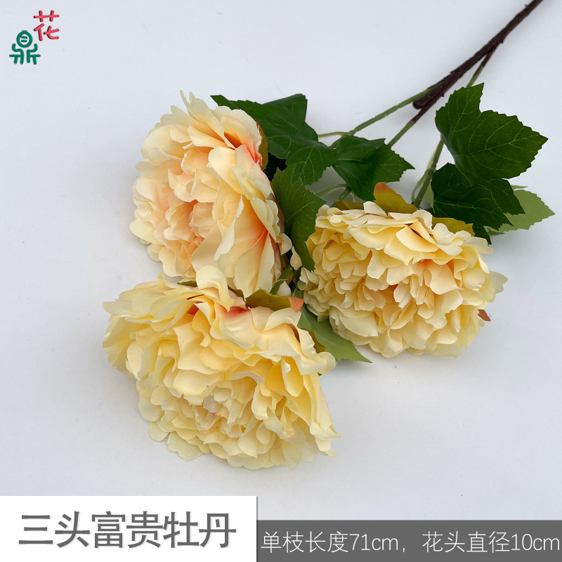 Tres cabezas de ricos peonies CY color champán