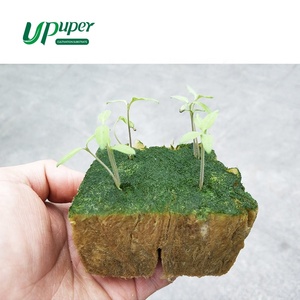 Upuper thủy canh trong nhà hệ thống nhà Cà tím hạt giống Đá len bản sao phích cắm phát triển - Product Image 6