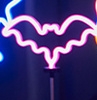bat