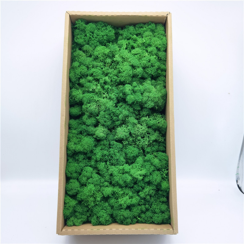 L03 verde-500g