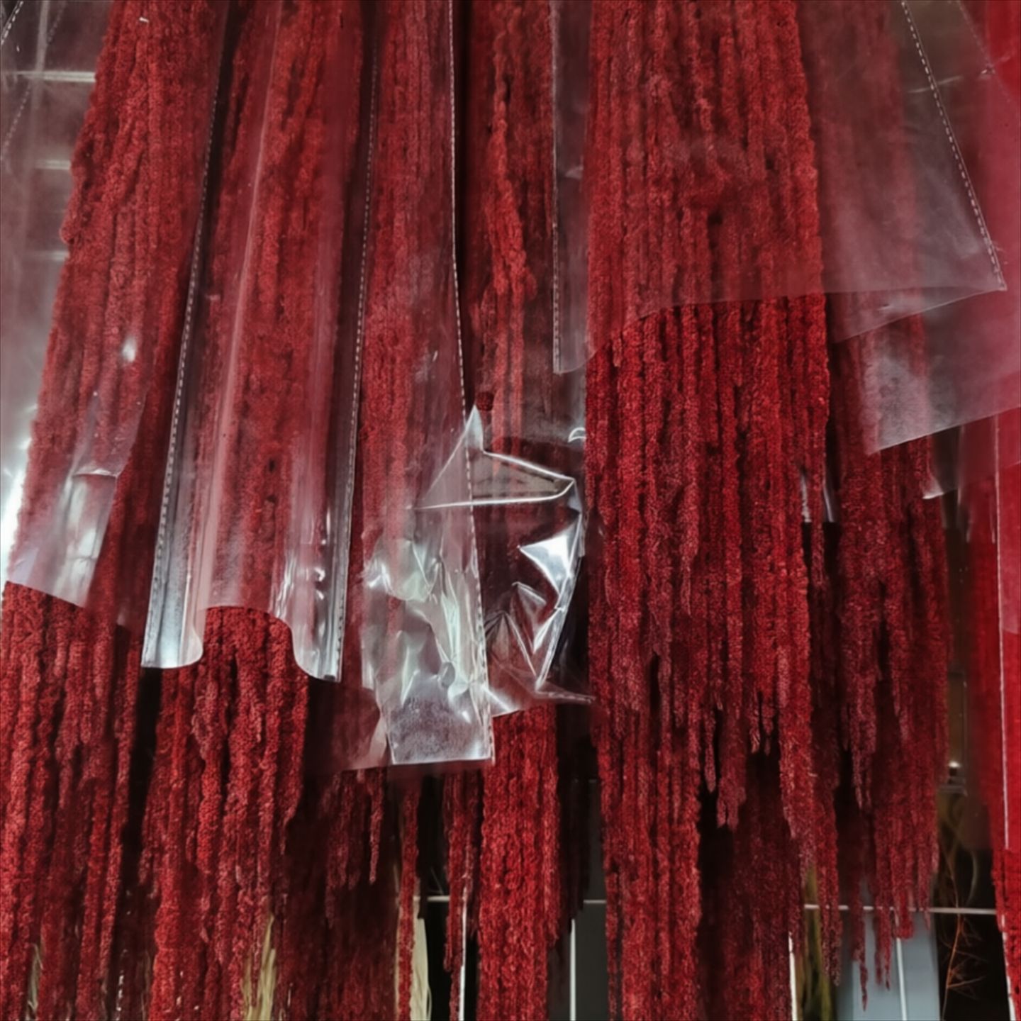 Rosso scuro di medie dimensioni