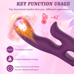 Yove महिलाओं के दोहरे सिर हैंडहेल्ड तरल सिलिकॉन एब्स हीटिंग योनि वाइब्रेटर डिल्डो ipx65 वाटरप्रूफ 10 स्पीड g-स्पॉट खरगोश - Product Image 4
