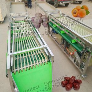 Factory Price Fruit plum Passion Sorter Potato Roller Size <strong>Sorting</strong> Machine apple Mango Walnut Date Garlic Grade Sorter - Product Image 1