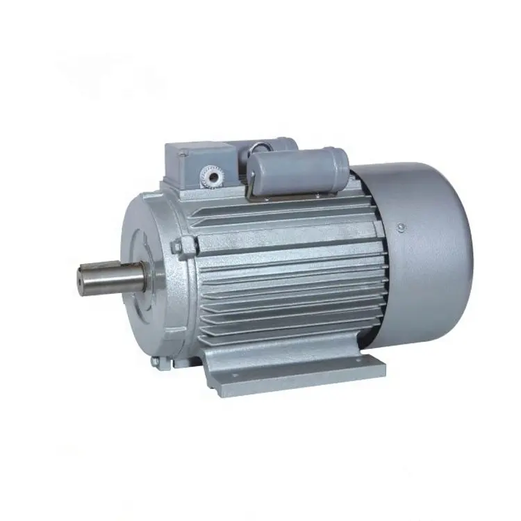 YC Series 2hp Single Phase Small Electric AC Motor for Sale