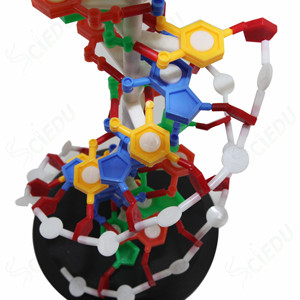 DNA Model Biology Educational Anatomical Plastic DNA <strong>Structure</strong> Model - Product Image 5