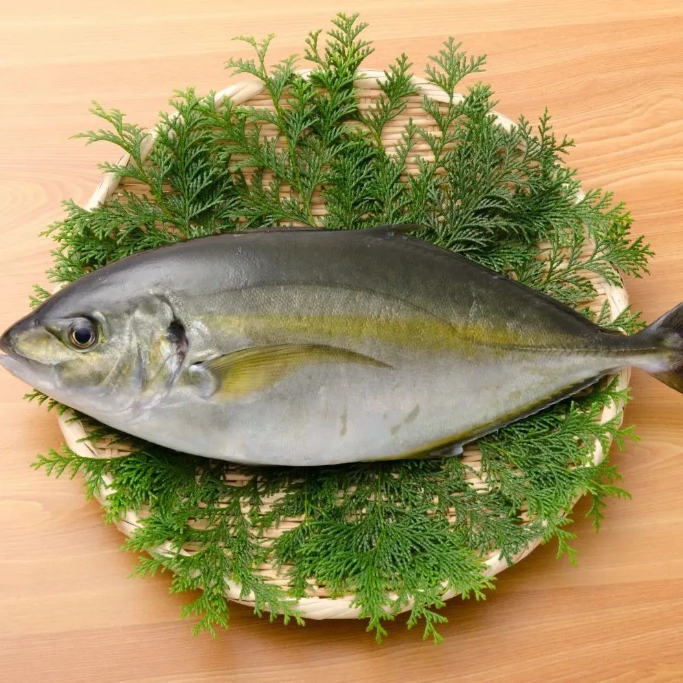 Gefrorener weißer Trevally Filet Seefisch