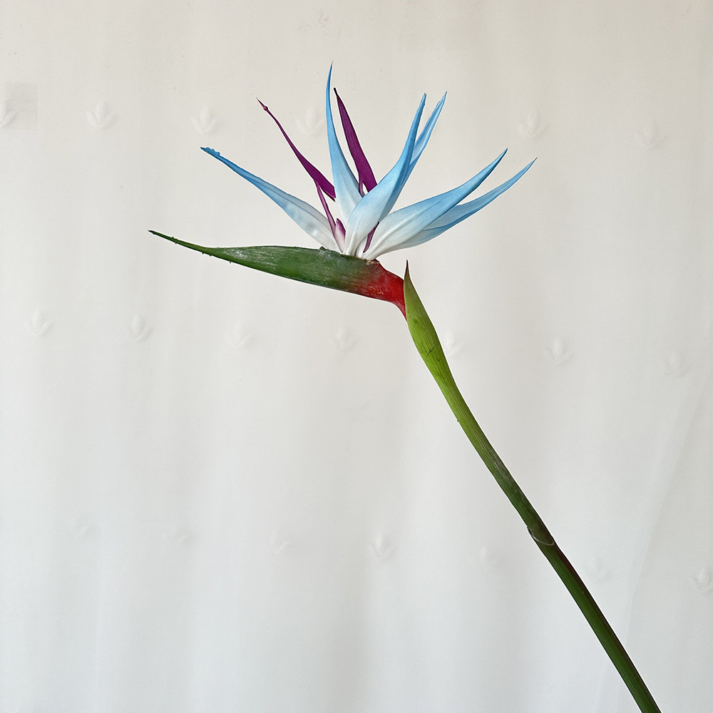 Grand bleu clair