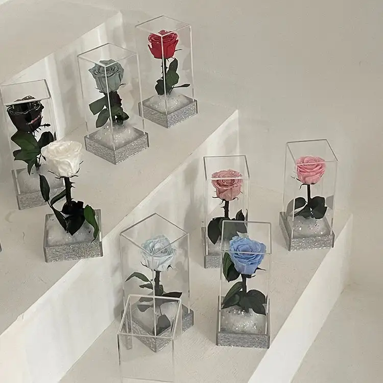 2023 Offre Spéciale bon prix petite amie cadeau unique paquet flocon de neige naturel préservé fleurs séchées fleur éternelle Rose boîte-cadeau
