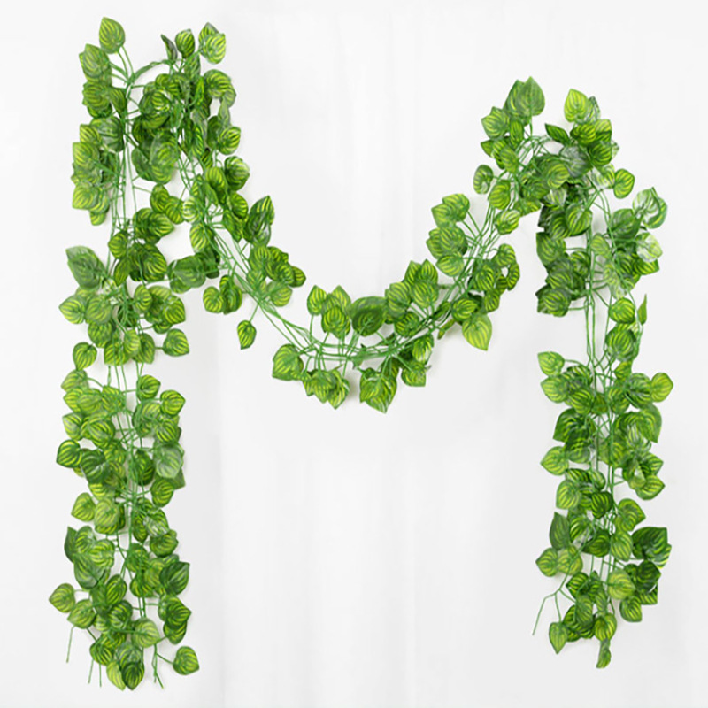 72 feuilles de pastèque vertes de 2,1 m de long