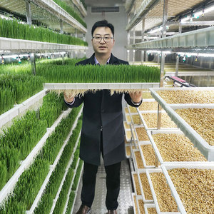 Mô hình mới hydroponic cỏ Chồi/Hạt Giống Nảy mầm Máy/Màu xanh lá cây thức ăn gia súc làm lúa mạch chăn nuôi thức ăn gia súc container - Product Image 1