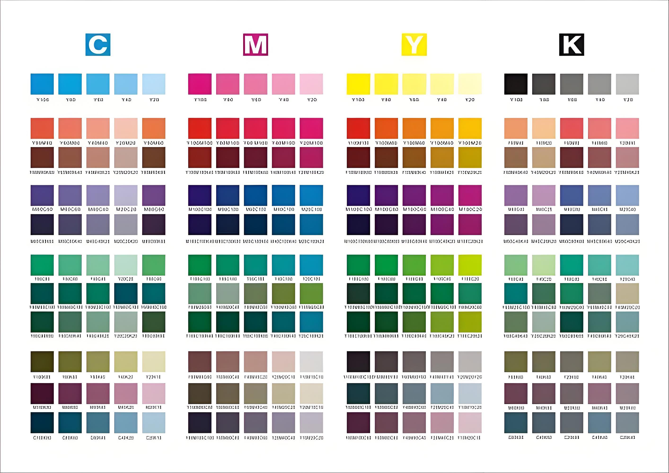 Logotipo y color personalizados