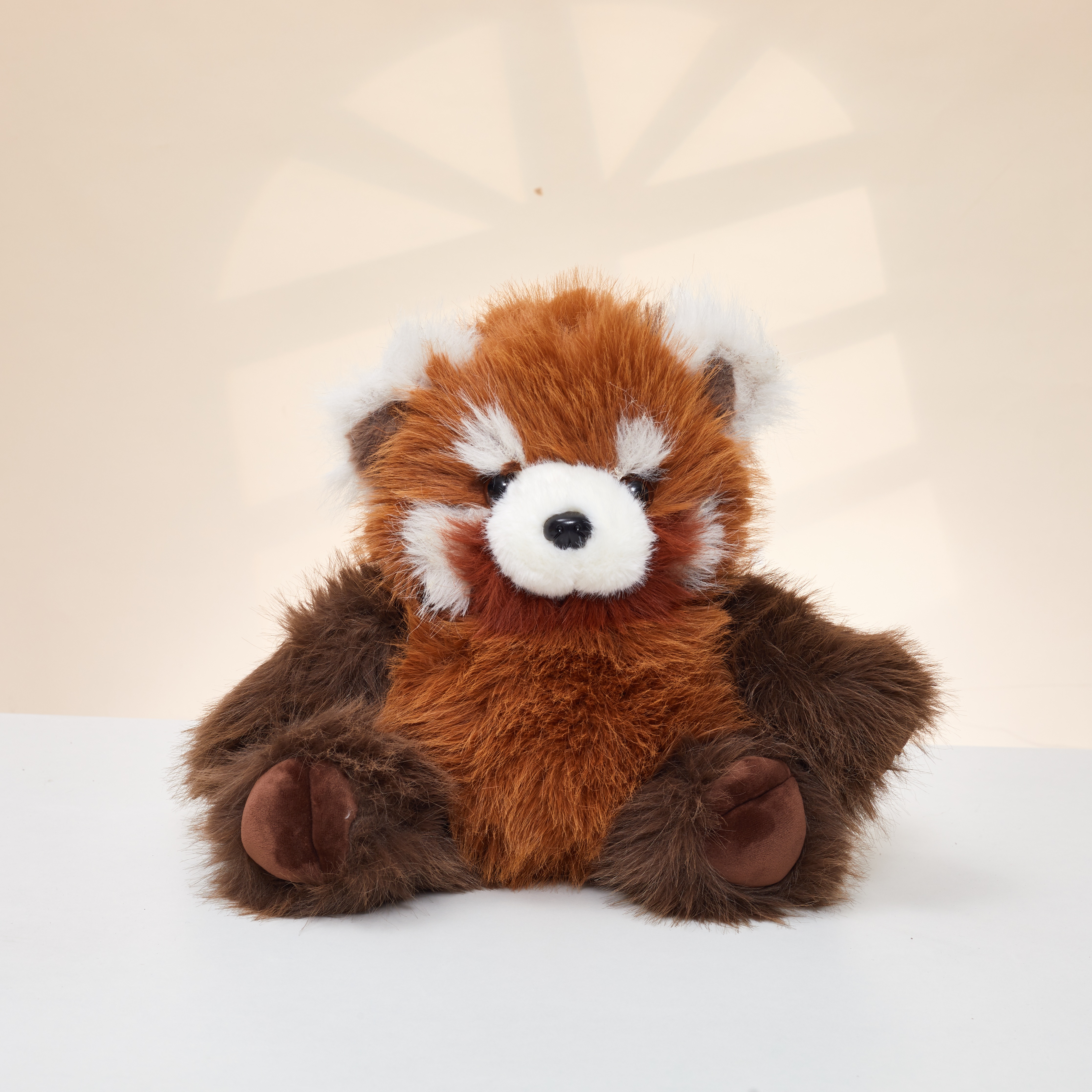 Brown raccoon