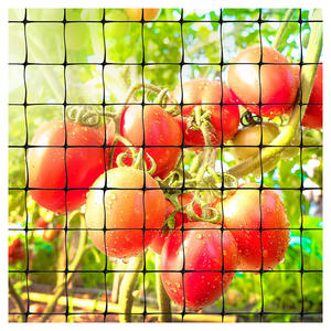 Lưới chắn chim, lưới chắn hươu, lưới HDPE chống tia cực tím, bán trực tiếp từ nhà máy - Product Image 3