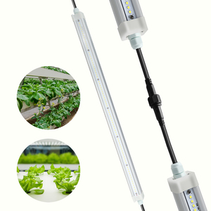 T5发光二极管管2FT灯植物垂直传播生长全光谱水培发光二极管灯 - Product Image 1