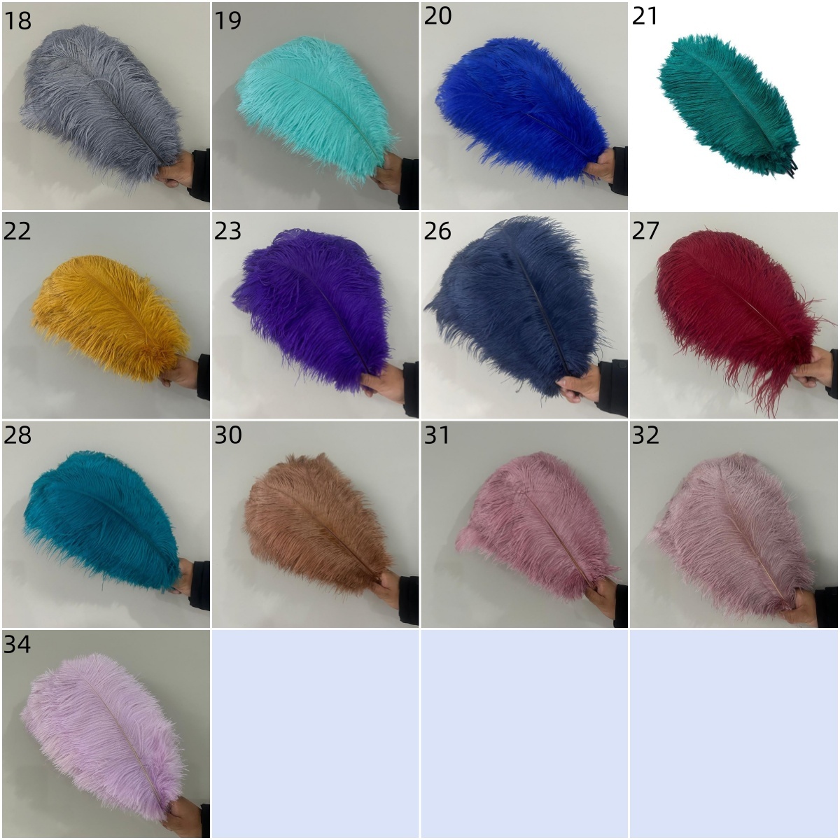 colori 2