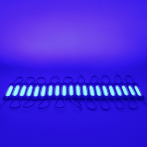 Mavi işık DC 12V 24V LED modülü 2W enjeksiyon PVC IP65 şeffaf Lens 12V arka ışık 7019mm 1 reklam kutusu LED modülü COB - Product Image 6