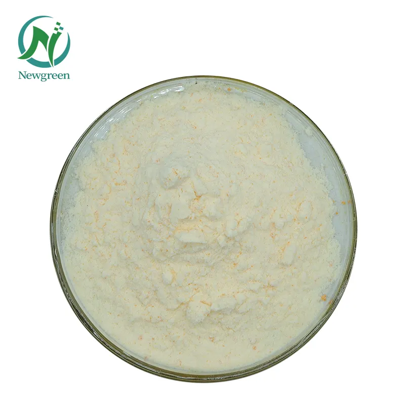 Newgreen Supply Extrait de Garcinia Cambogia de haute qualité 60% Acide hydroxycitrique