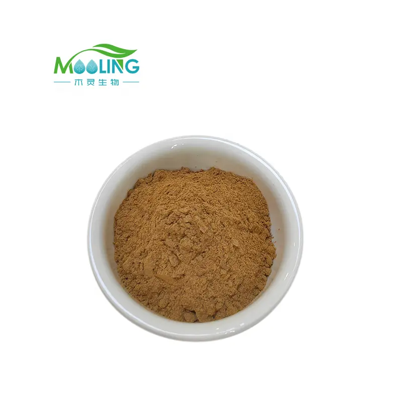 Icariin 10% Suplementos de hierbas Epimedium Macun Extracto en polvo
