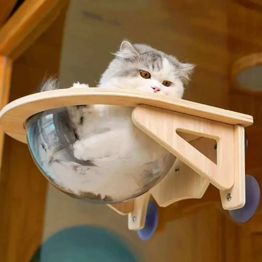 Vantuz ile akrilik uzay kapsülü levrek yatak koltuk duvara monte ahşap evcil kedi hamak