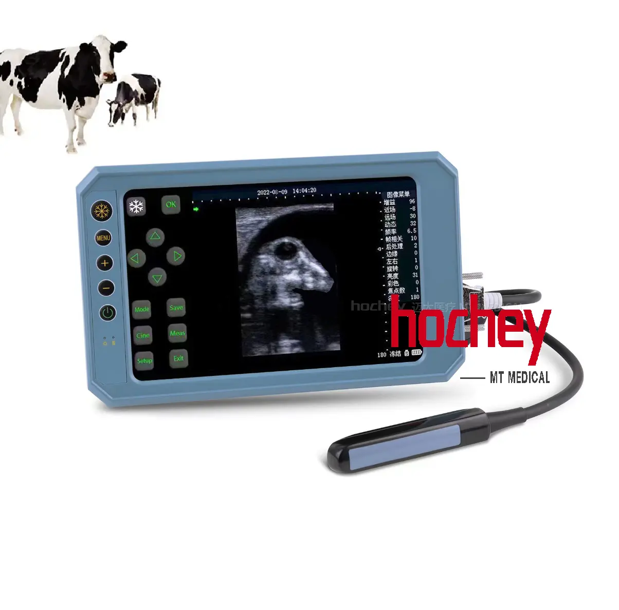 Vet Ultrasound Machine for Farm Instrumento veterinário personalizado Full Digital Veterinary Ultrasound Diagnostic System