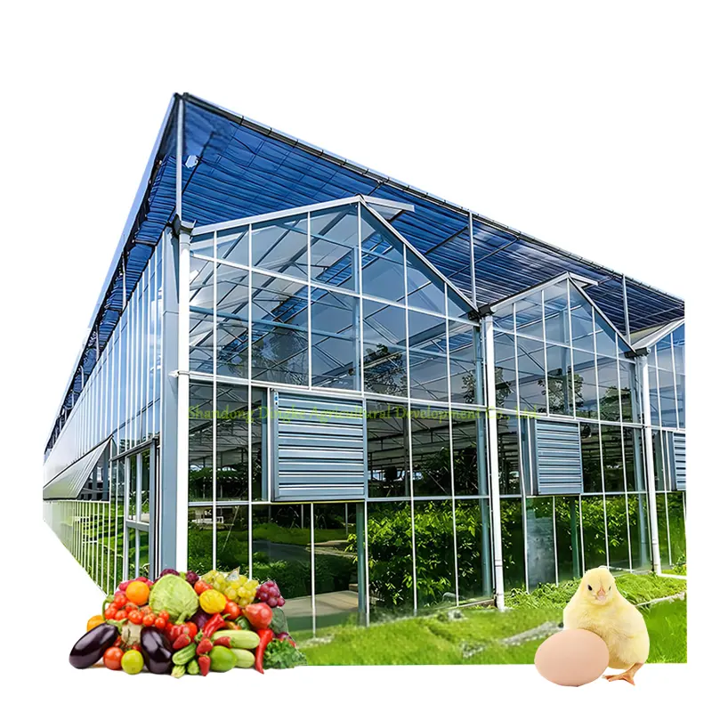 Low Price Agriculture Farm Multi-Span glass Greenhouse for Strawberry/Vegetables/Flowers/Tomato/Pepper