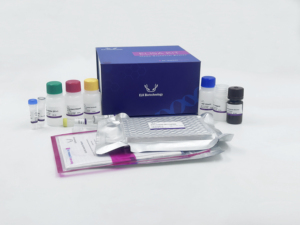 İnsan HbA1c (glise Hemoglobin A1c) ELISA seti araştırma kullanımı için - Product Image 5