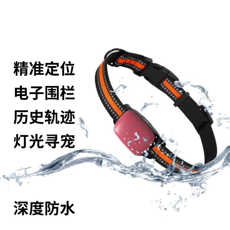 Lumière de positionnement rouge pour retrouver un animal de compagnie.