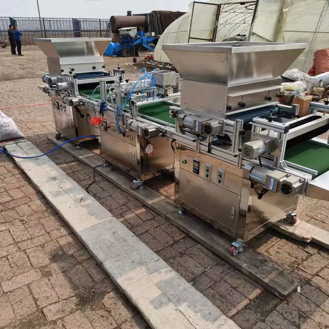 Plateaux pour bouchons de légumes planteur de semis semoir de fleurs machine à semer plateau pour bouchons automatique ligne de production de semis