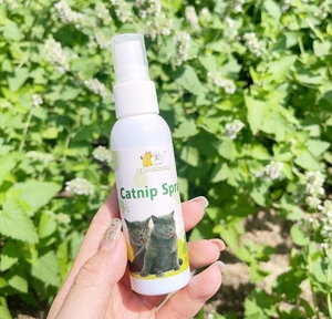 100% productos orgánicos naturales para juguetes para mascotas Catnip aceite esencial Catnip Spray - Product Image 2